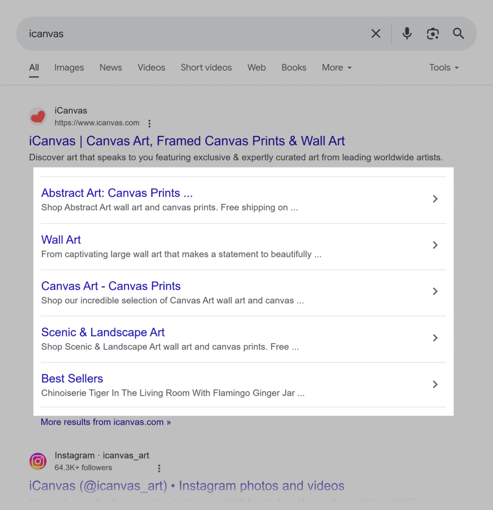 Google SERP – iCanvas
