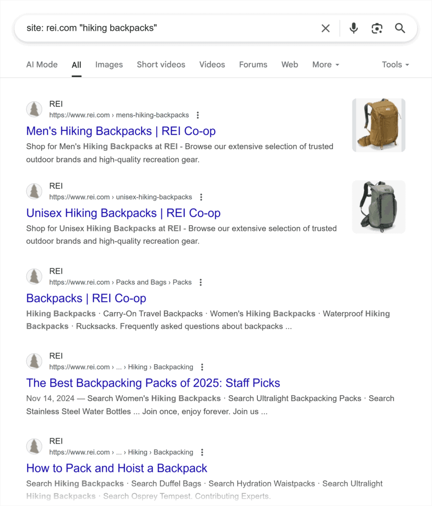 Google SERP – Site REI hiking backpacks