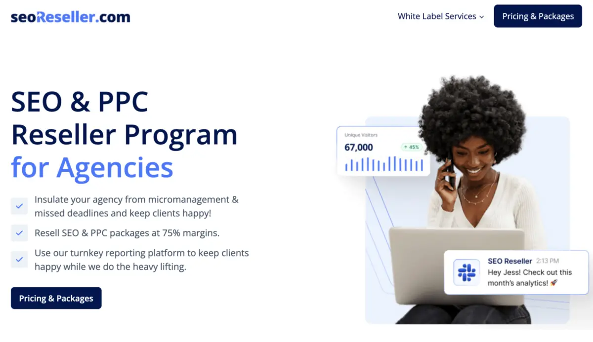 seoReseller.com screenshot